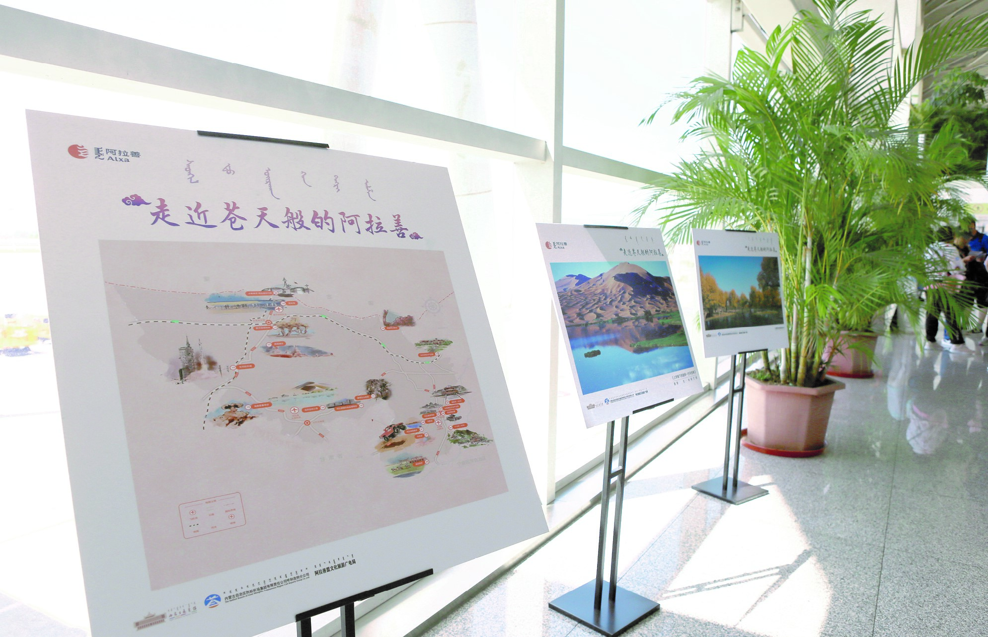 [图] 阿拉善马鬃绕线堆秀展