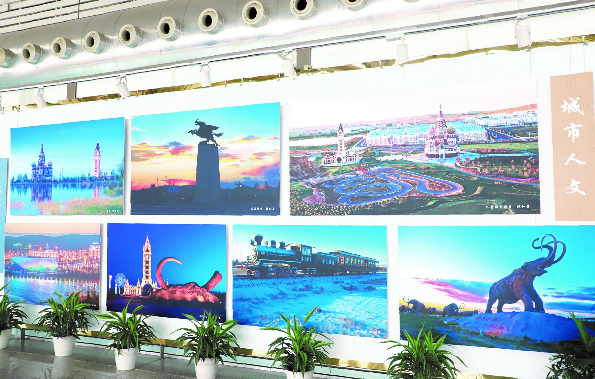 [图] 马头琴展