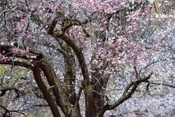 [图] 倾听内蒙古 | 纳凉休闲好去处 醉游红召九龙湾